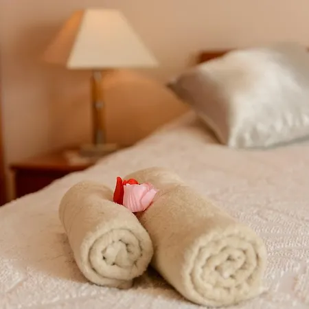 Denis Ντουμπρόβνικ